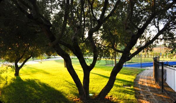 Tenuta Santa Lucia Hotel San Giovanni Rotondo Bagian luar foto